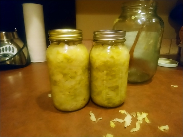 fermenting-sauerkraut-at-home